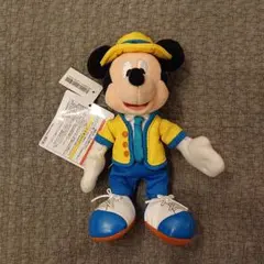 ディズニーバケーションパッケージ特典のミッキーぬいぐるみバッジ