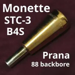 Item thumbnail for item e34b6f0b-c1af-402f-a10a-abe5b06e9738