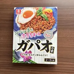 リケン　　ガパオの素のサムネイル