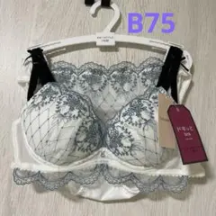 B75/M チュチュアンナ　ドキッとbra ホワイト　ブラショーツセット