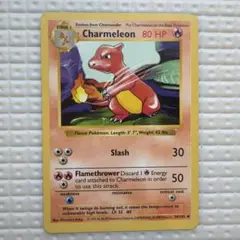 2026年最新】リザード 英語 ポケモンカードの人気アイテム - メルカリ