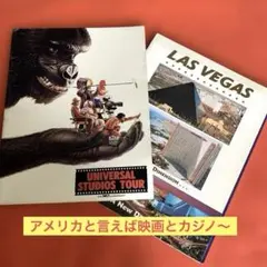 映画ロストランド LOST LAND パンフレット ポストカード チラシ - メルカリ