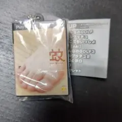 PlayStation ゲームパッケージミニチュアチャーム シークレット 蚊