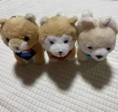 豆柴ぬいぐるみ3体セット
