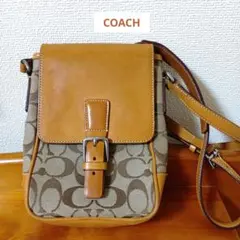 ブラウン ショルダーバッグ