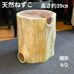 ニトリ 切り株 クッション 丸太 大木 インテリア - メルカリ