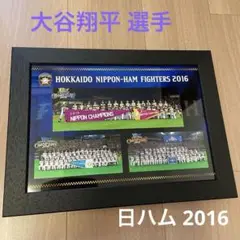 直筆サインボール/日ハム公式ボール日付有/近藤健介・中島卓也・増井浩俊・二岡智宏 直筆サインボール/日ハム公式ボール日付有/近藤健介・中島卓也