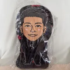 THERAMPAGE 武知海青　クッション