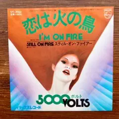 ユーロディスコ古典！　恋は火の鳥 / 5000ボルト　　EPレコード