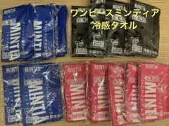 ミンティア•ワンピース冷感タオルセット