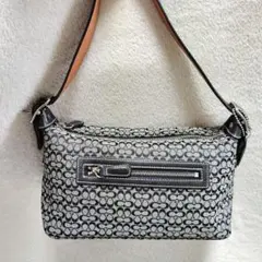 コーチ　ワンショルダーバッグ　アクセサリーポーチ　シグネチャー　美品　ブラック