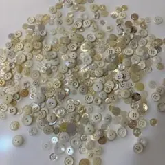 白系色のボタン約300個ぐらい