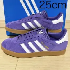 Item thumbnail for item 895dba38-f3f3-4314-81b0-aaf5f211f8ef