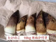 2026年最新】タケノコ 10kgの人気アイテム - メルカリ