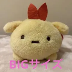 株式会社まつもと フリッカ ぬくまろ ぬいぐるみ きゅーぶぴろー