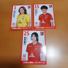 三菱重工浦和レッズレディース マッチデーカード 3枚セット