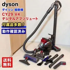 Dyson DC22 キャニスタークリーナー タービンヘッド シルバー - メルカリ