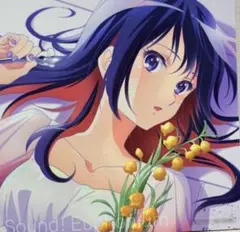 響け！ユーフォニアム 入場者特典 色紙 高坂麗奈 - メルカリ