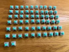 Wooting Lekker Tikken MediumSwitches 62個
