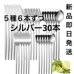 Item thumbnail for item bd370137-4c6f-409f-9b7c-72be5b0c9d47