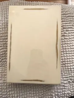 高級　仕切り付き弁当箱