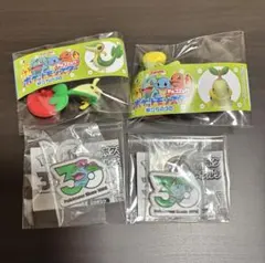 ポケットモンスター　チョコエッグ　旅立ちの3匹　メタルチャーム　4点