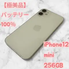 2025年最新】iphone12MINI 256gb 100%の人気アイテム - メルカリ