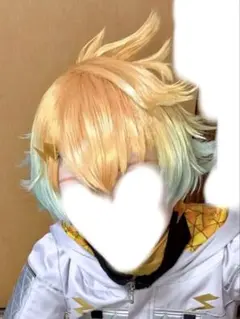 にじさんじ 宇佐美リト コスプレ ウィッグ - メルカリ