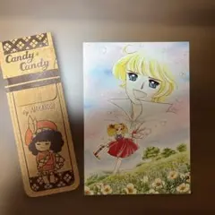 Candy Candy ペンケース 1976年 なかよし ポストカードのサムネイル