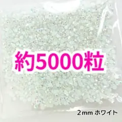 Item thumbnail for item 2b02a205-e913-43ff-8416-cb558cfb3496