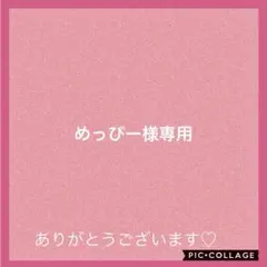 めっぴー様 リクエスト 4点 まとめ商品