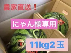 にゃん様専用