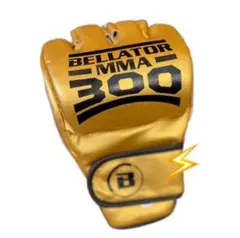 2025年最新】ベラトール グローブの人気アイテム - メルカリ