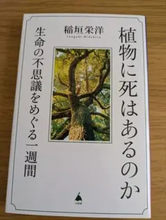 Item thumbnail for item 822c8903-0734-4f2d-8c99-5c6fbdeff5ab