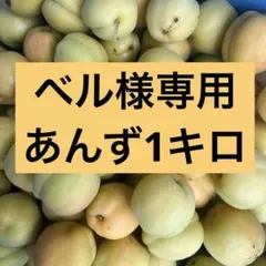 ベル様専用 あんず1キロのサムネイル