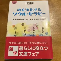 魂を浄化するソウル・セラピー 不安や迷いのない人生を手に入れる