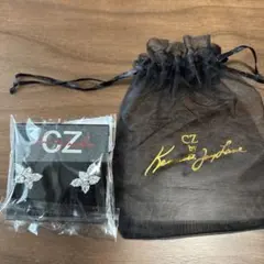 Item thumbnail for item c2a6560f-a5c2-4718-8cdf-3201c7dc4b0b