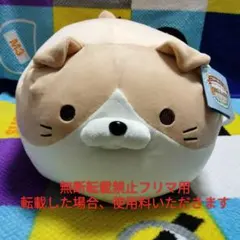 ラスト 新品 豆しばパトロール隊 クッション チームC とら丸 だるいぬ