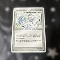 2026年最新】ポケモンカード ウツギはかせの育てかた 023/L-P プロモの