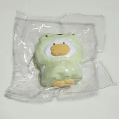 teddybear テディベア スクイーズ あひる レインコート(カエル)