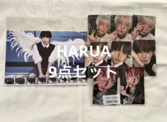 &TEAM HARUA ハルア 9点セット Back to Life