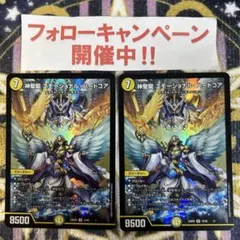 神聖龍 エモーショナルハードコア 2枚