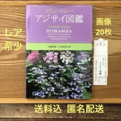 【レア】アジサイ図鑑 コリン マレー 絶版 希少 送料込 匿名配送
