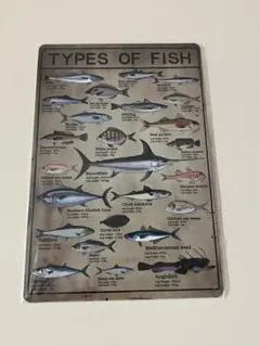 TYPES OF FISH ブリキ看板 レトロ インテリア