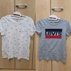 Levi's リーバイス ロゴ Tシャツ グレー XS