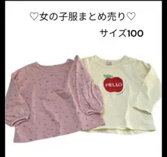 ♡まとめ売り♡ 女の子用長袖Tシャツ2点セット サイズ100