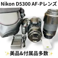 2026年最新】AF-P D5300 ダブルズームキットの人気アイテム - メルカリ
