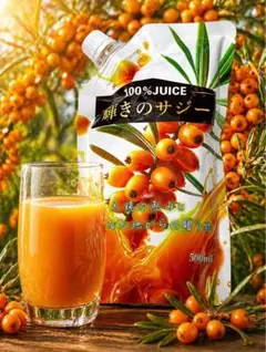 輝きのサジー　100%ジュース 500ml ２個セット(500ml入×2)