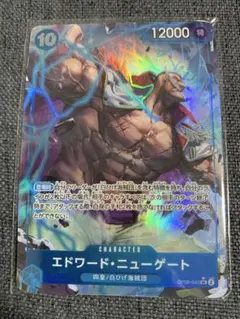 エドワード・ニューゲート 12000美品！ エドワード・ニューゲート(パラレル/SP/悪魔の実模様)【SP】{OP13-042