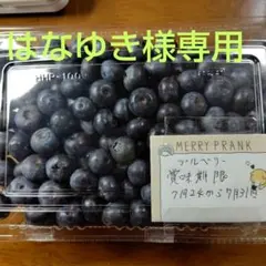 朝摘みブルーベリー　箱いっぱい‼️ 朝摘みブルーベリーコンパクトBOX箱いっぱい‼️ - メルカリ